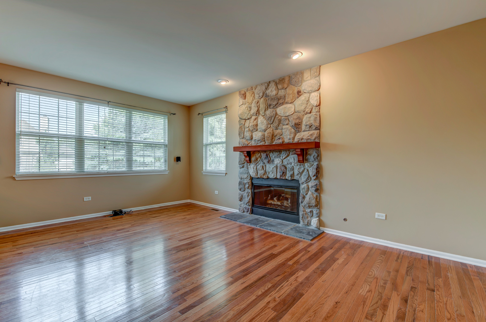 860 Spring Creek Circle Naperville, IL 60565 - Photo 11 of 26 an empty room with wooden floor fire place and windows