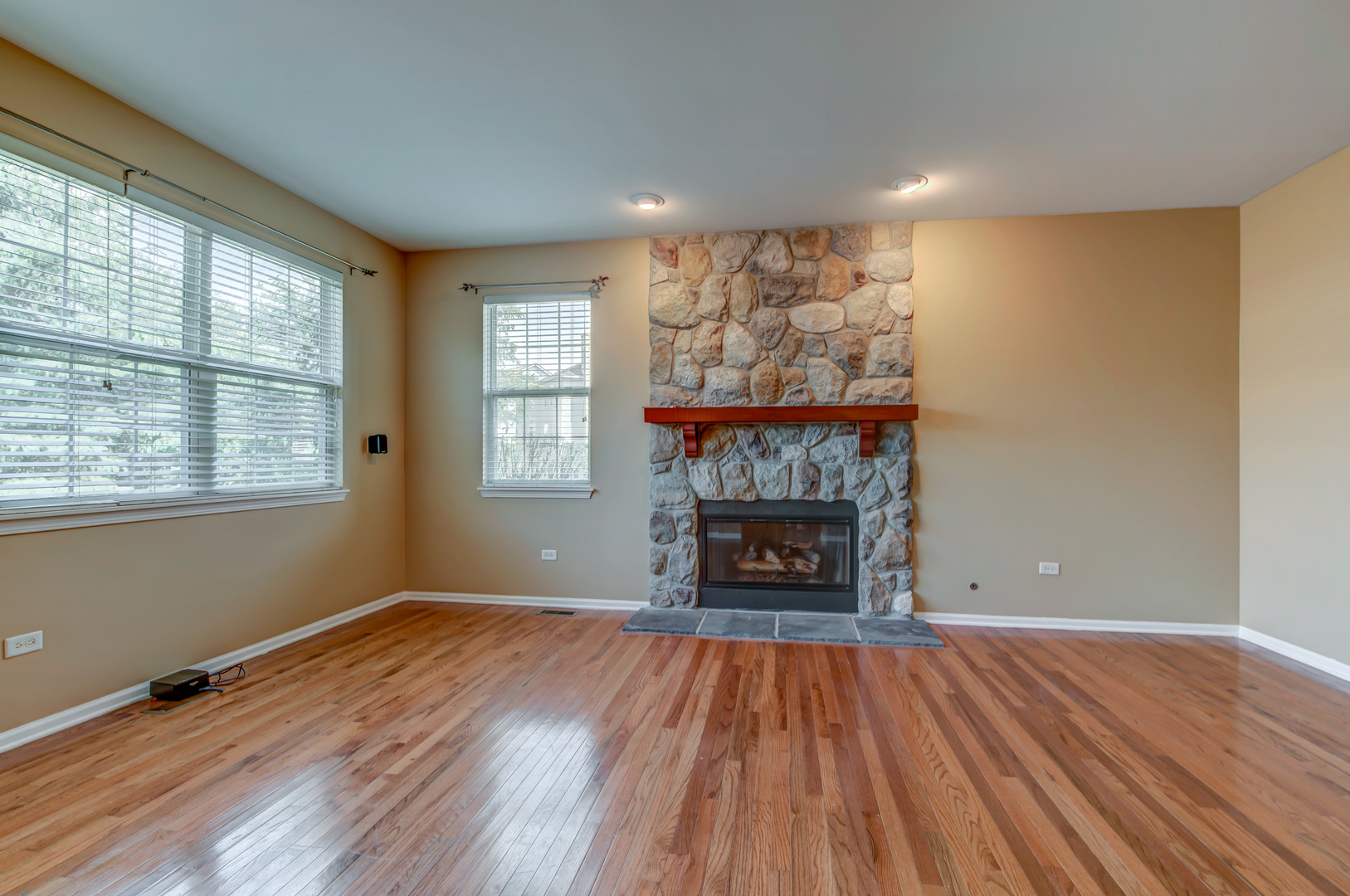 860 Spring Creek Circle Naperville, IL 60565 - Photo 10 of 26 an empty room with wooden floor a fireplace and windows