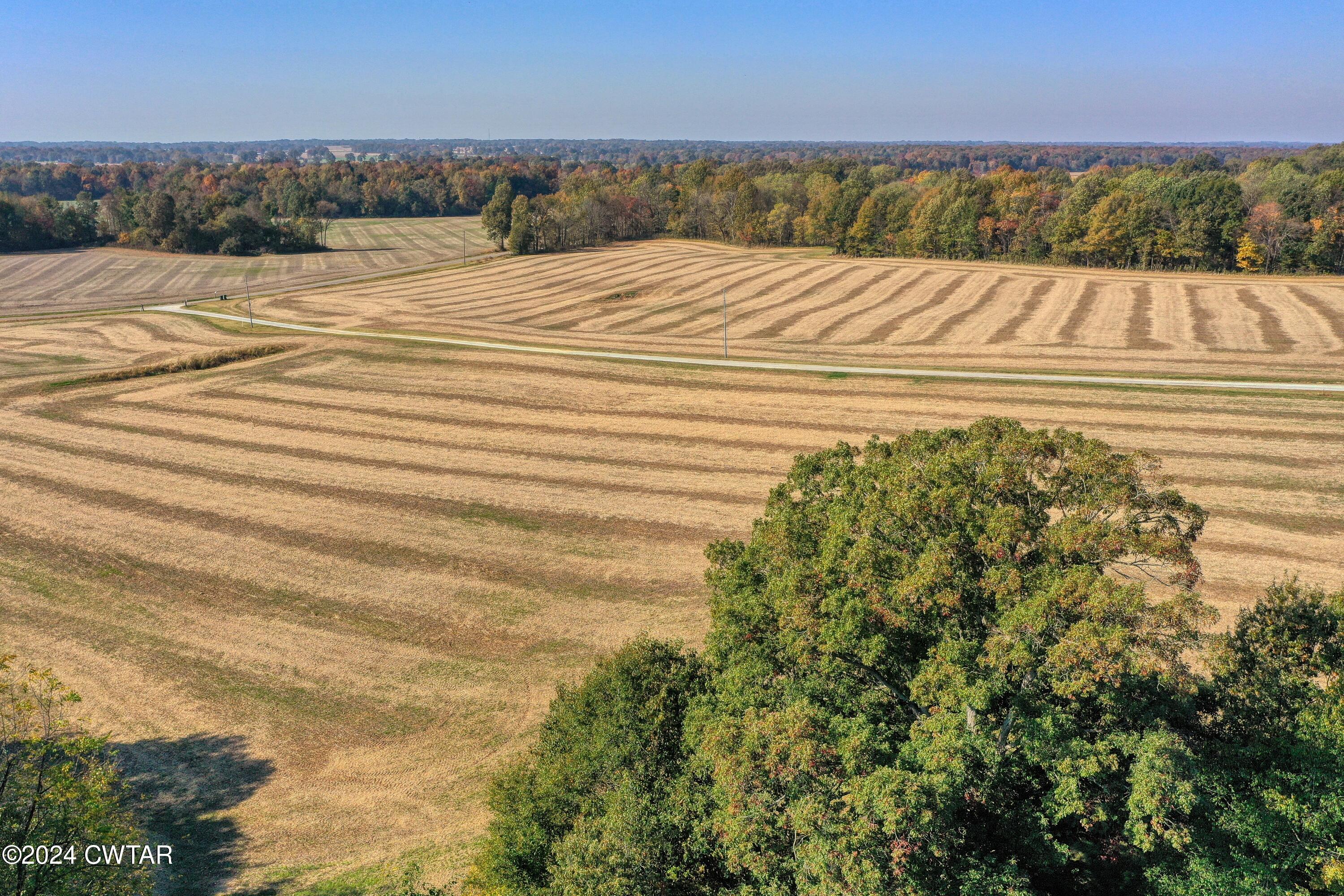 28 Peavine Road Bradford, TN 38316 - Photo 14 of 16 a view of swimming pool