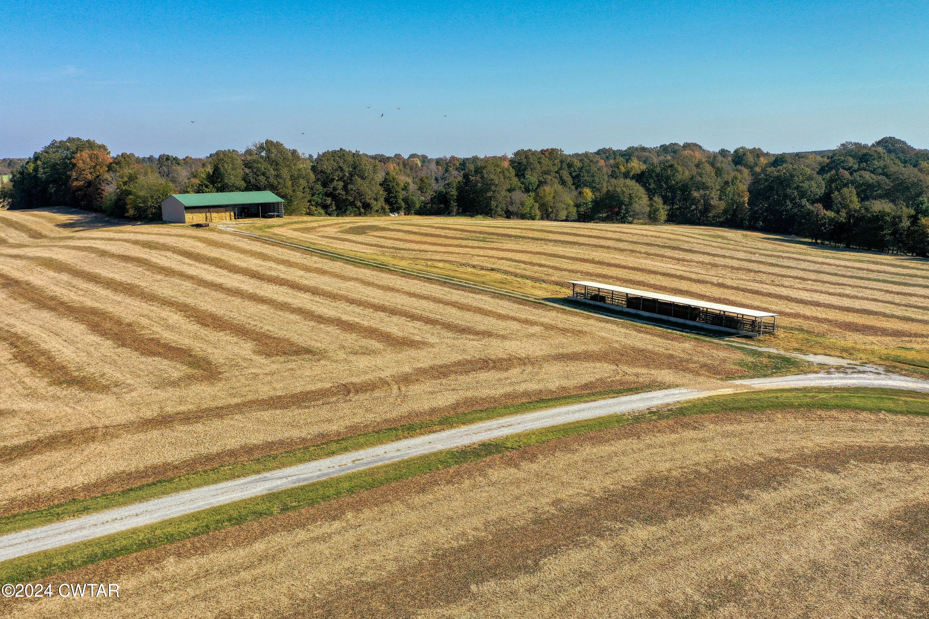 28 Peavine Road Bradford, TN 38316 - Photo 10 of 16 a view of a tennis court