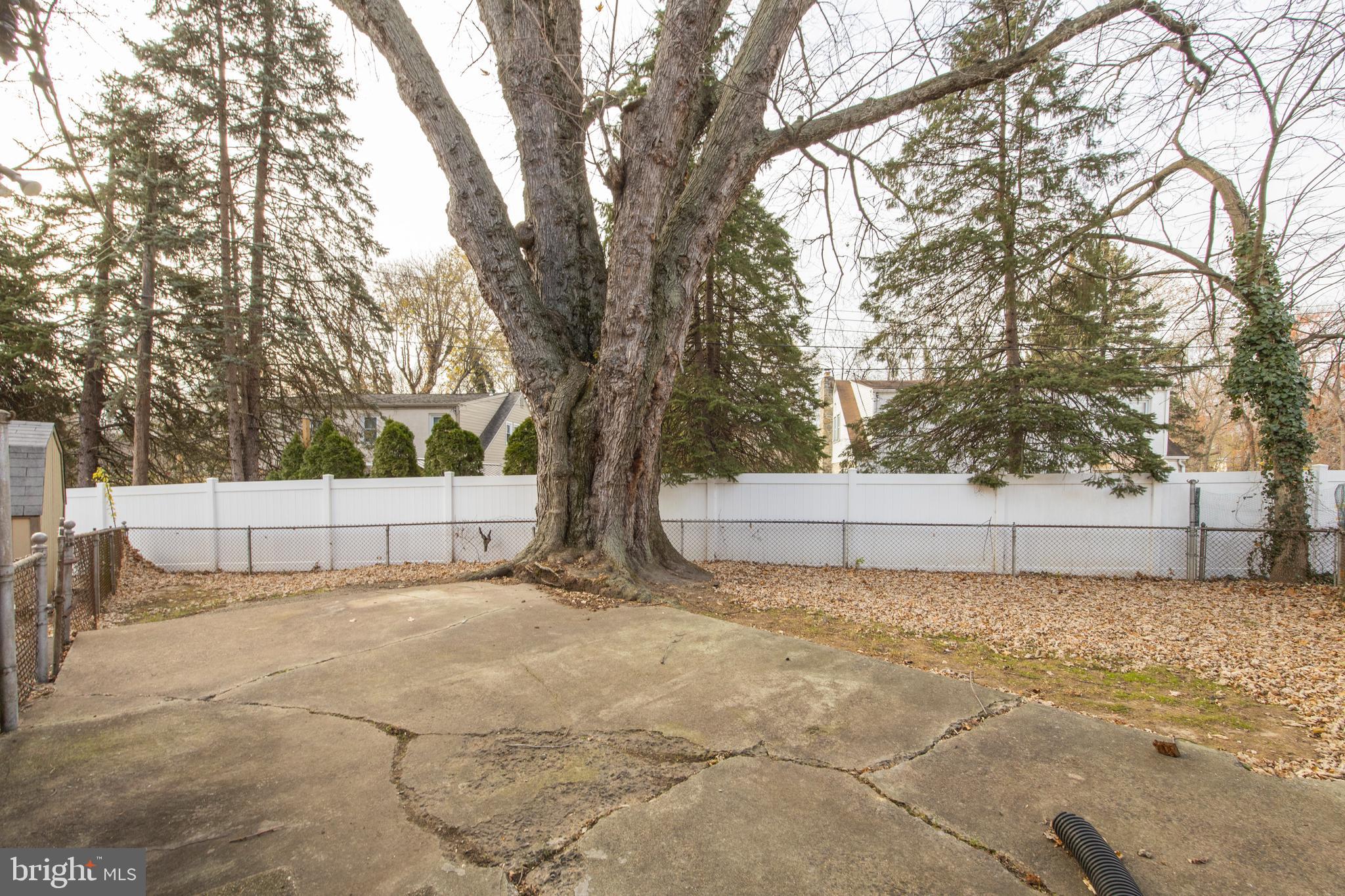 111 Bridge Road Ridley Park, PA 19078 - Photo 27 of 28 Gallery Image 27