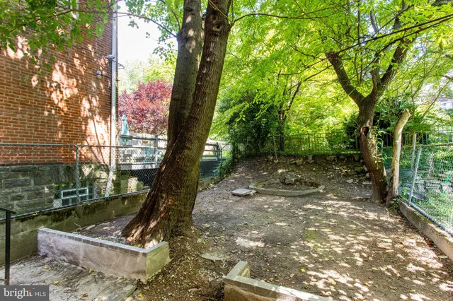 a view of a tree in the garden