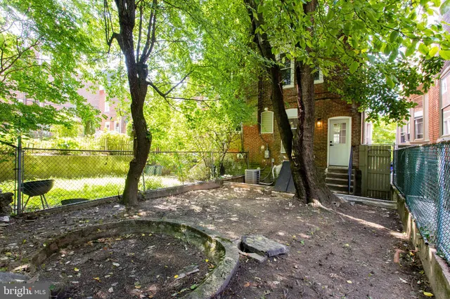 a view of a yard with plants and large trees