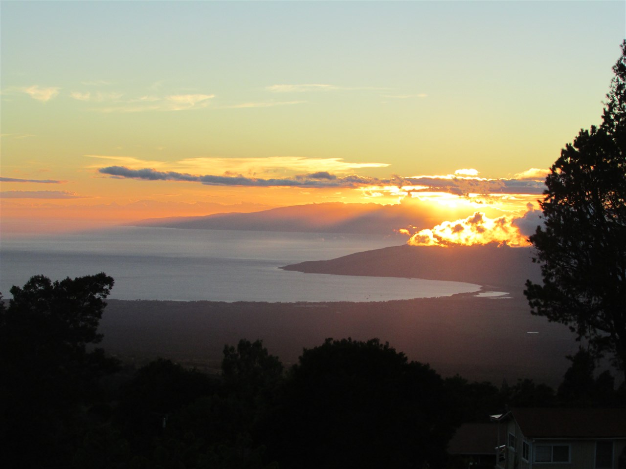 294 Hapapa Road Kula, HI 96790 - Photo 1 of 24 Gallery Image 1