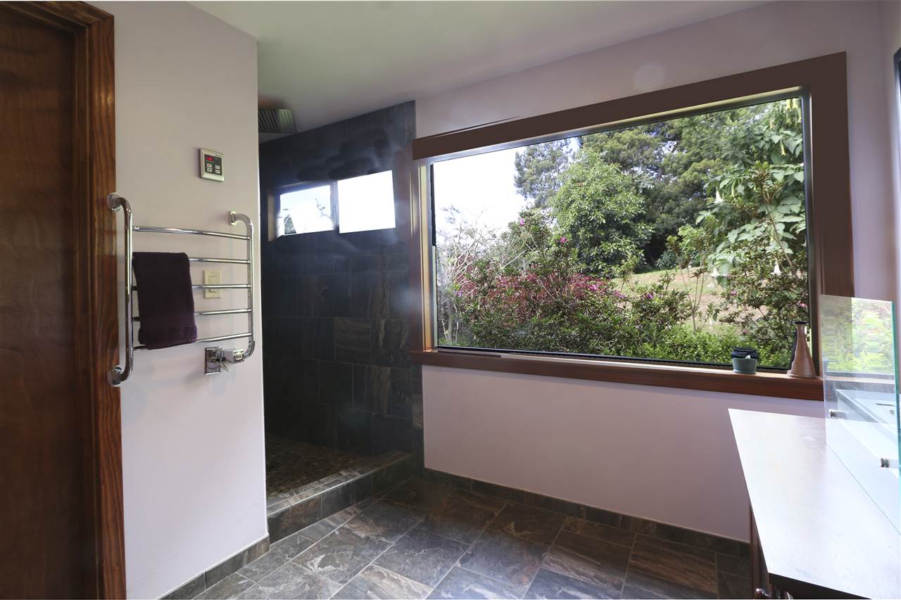 294 Hapapa Road Kula, HI 96790 - Photo 11 of 24 Gallery Image 11