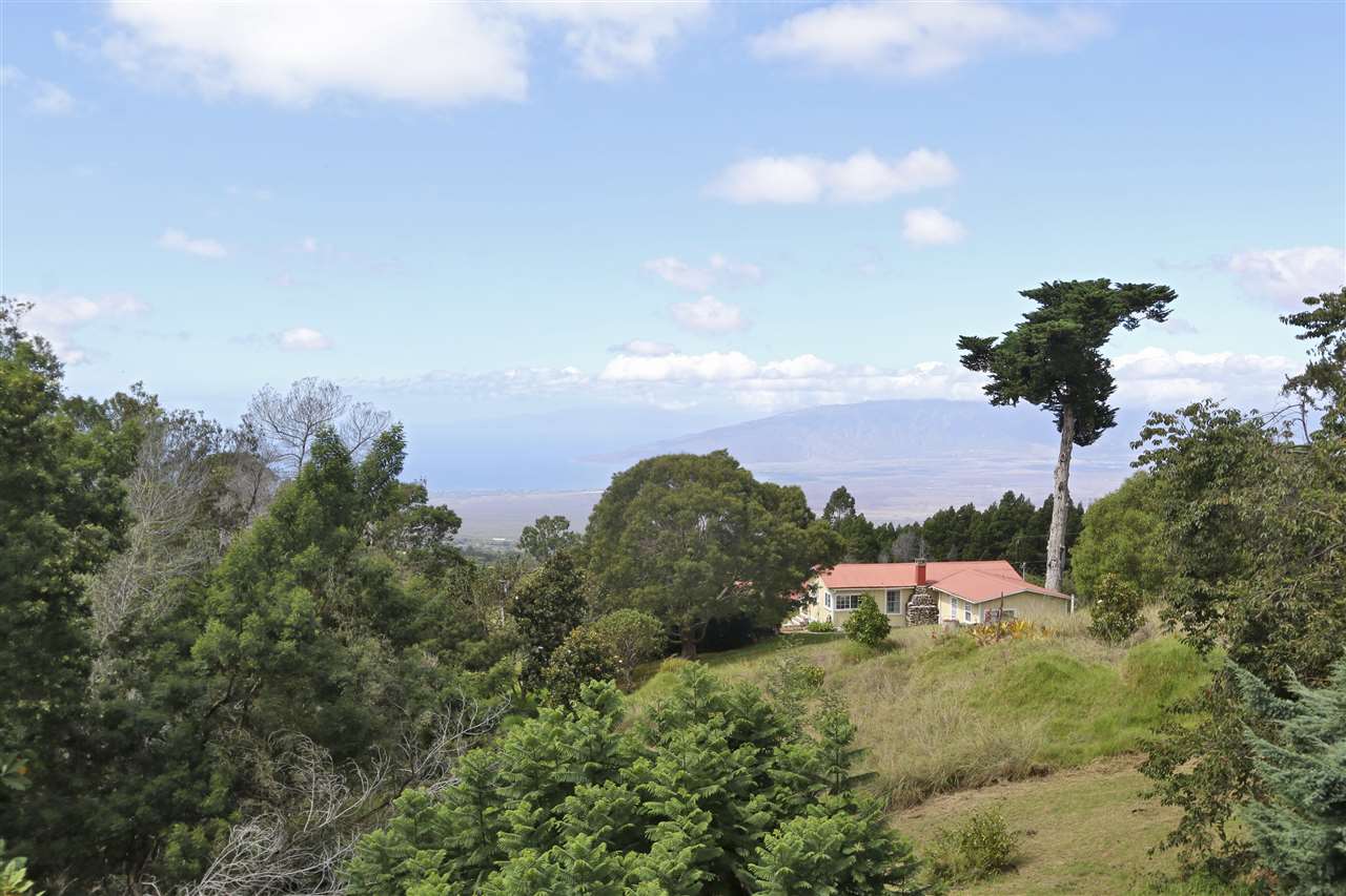 294 Hapapa Road Kula, HI 96790 - Photo 20 of 24 Gallery Image 20
