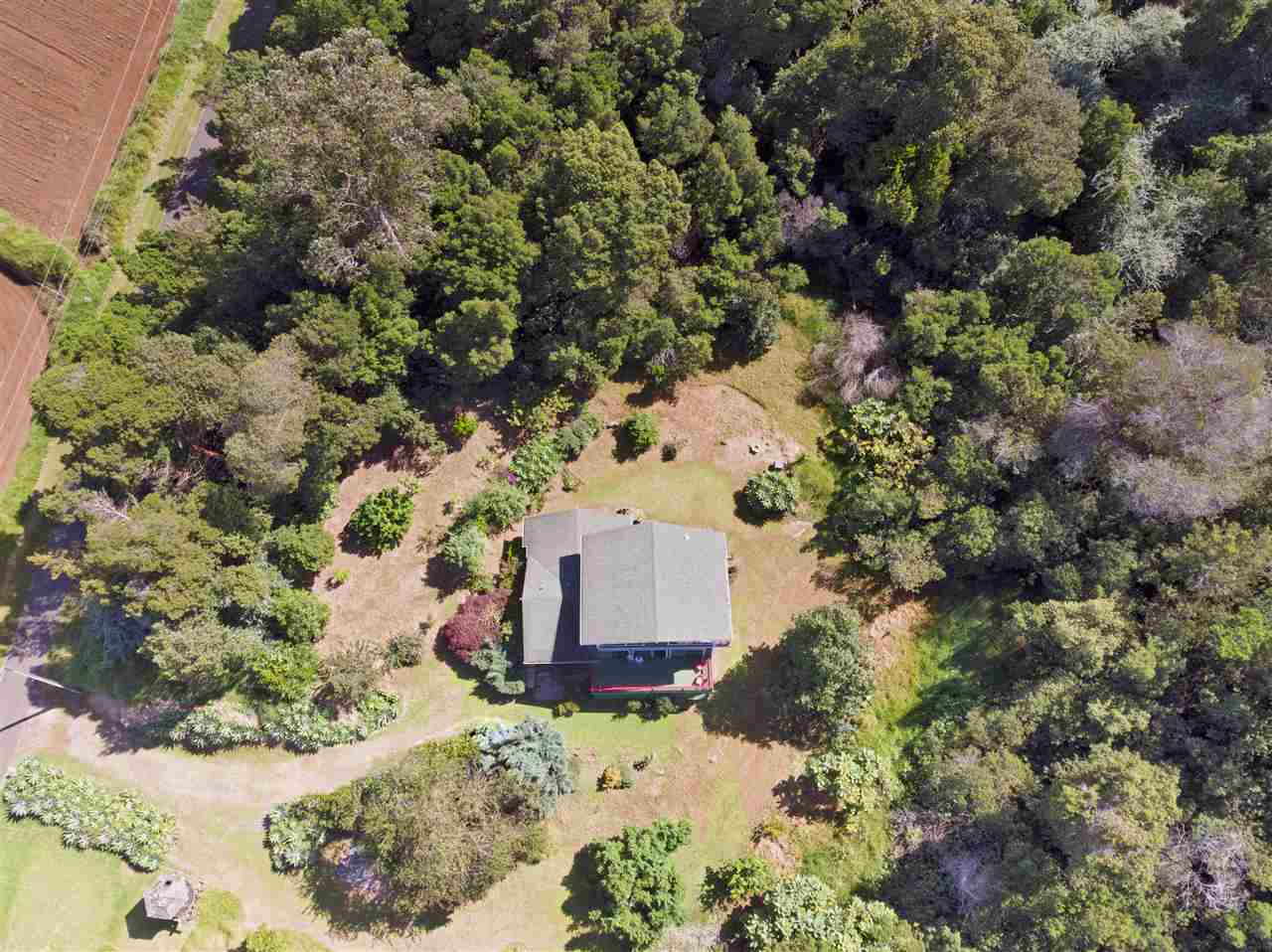294 Hapapa Road Kula, HI 96790 - Photo 3 of 24 Gallery Image 3