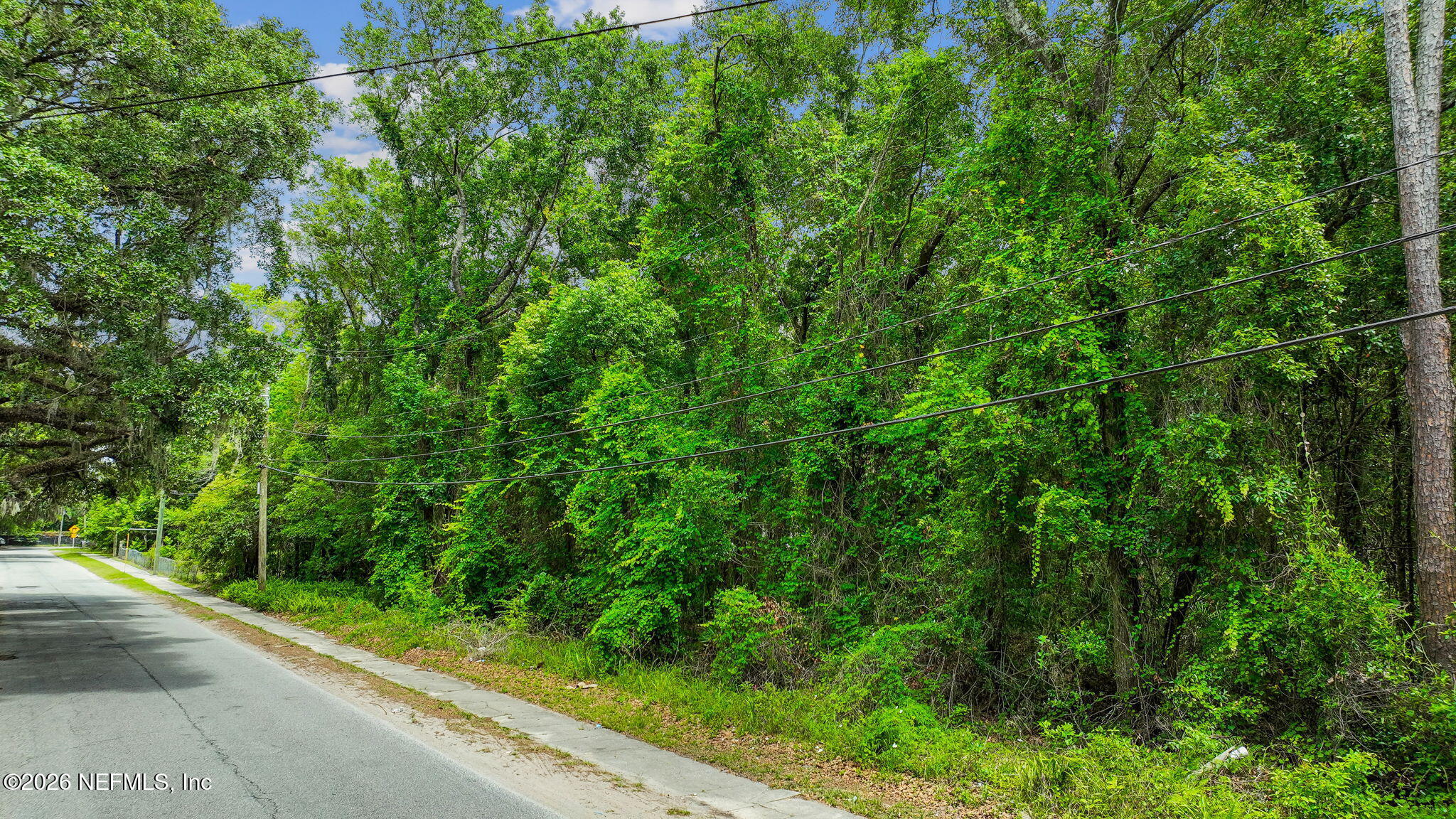 0 Jernigan Road Jacksonville, FL 32207 - Photo 2 of 12 21-web-or-mls-Jernigan Rd (21 of 22)