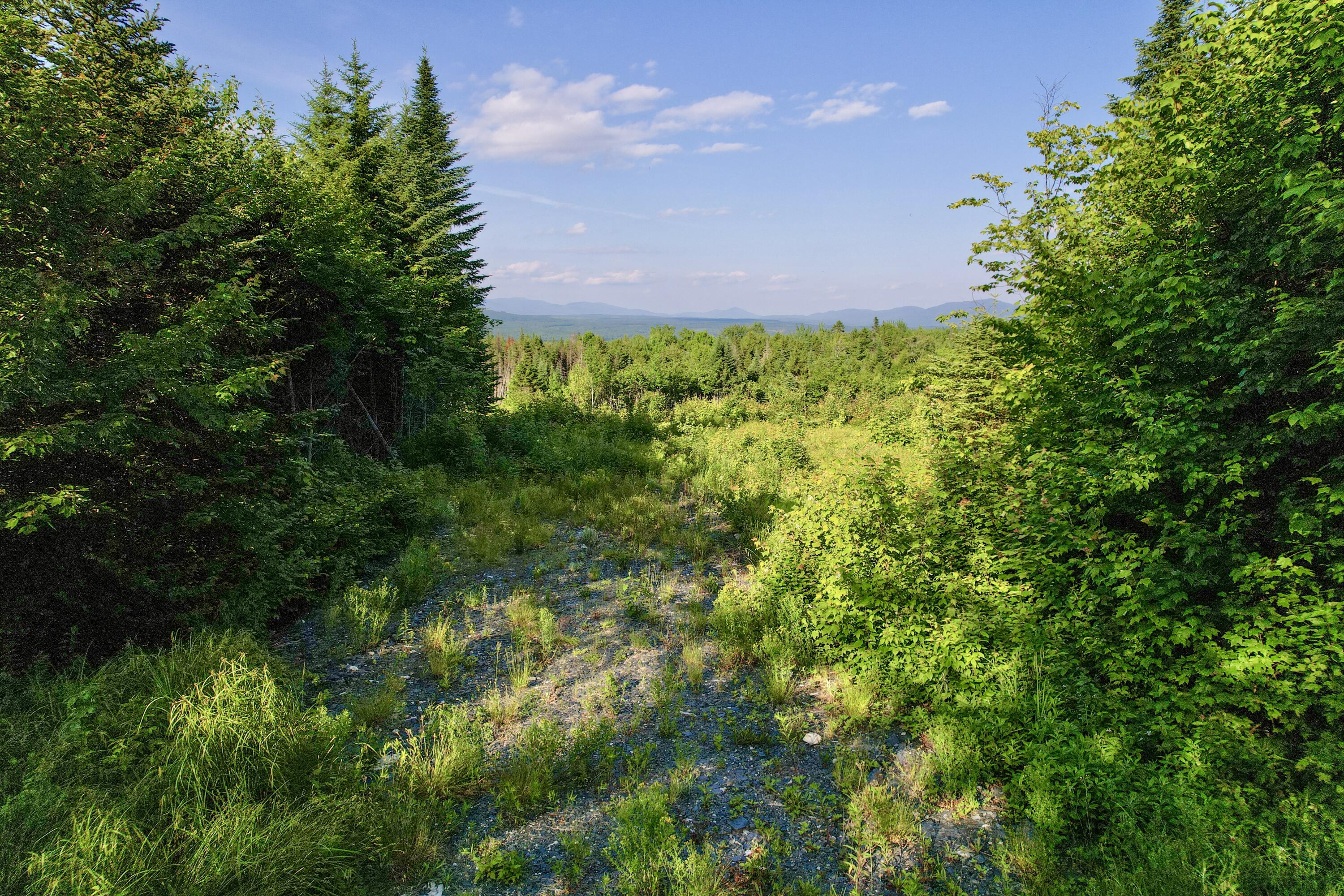 Lot 2 East Ridge Drive Greenville, ME 04441 - Photo 2 of 7 lot2-2