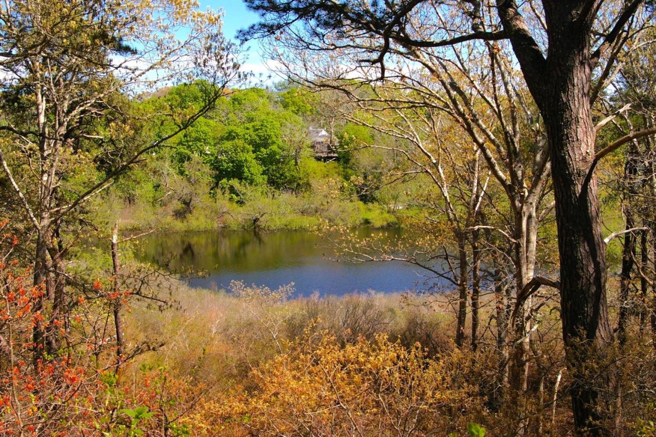 125 Mill Hill Road Wellfleet, MA 02667 - Photo 4 of 22 a view of lake from under a large tree