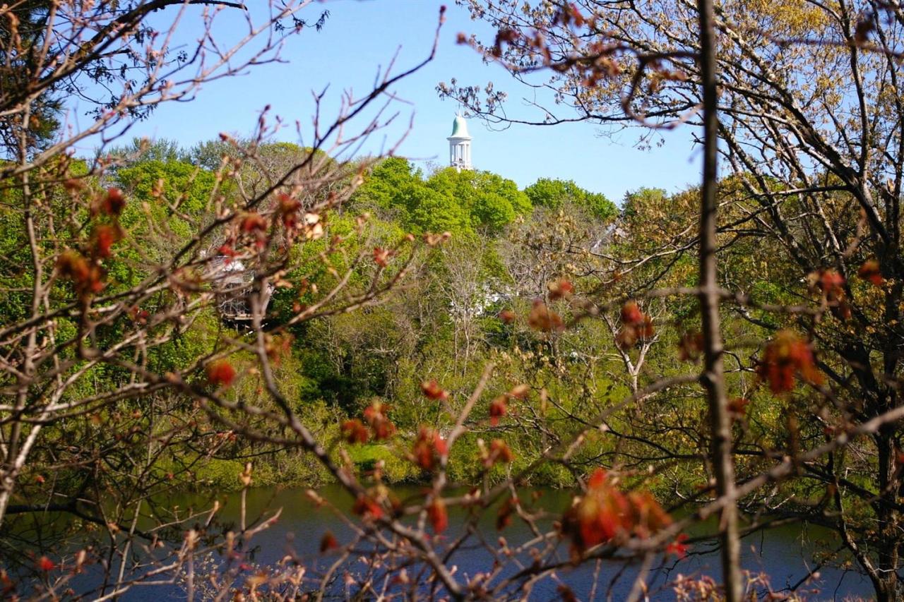 125 Mill Hill Road Wellfleet, MA 02667 - Photo 5 of 22 a view of a tree
