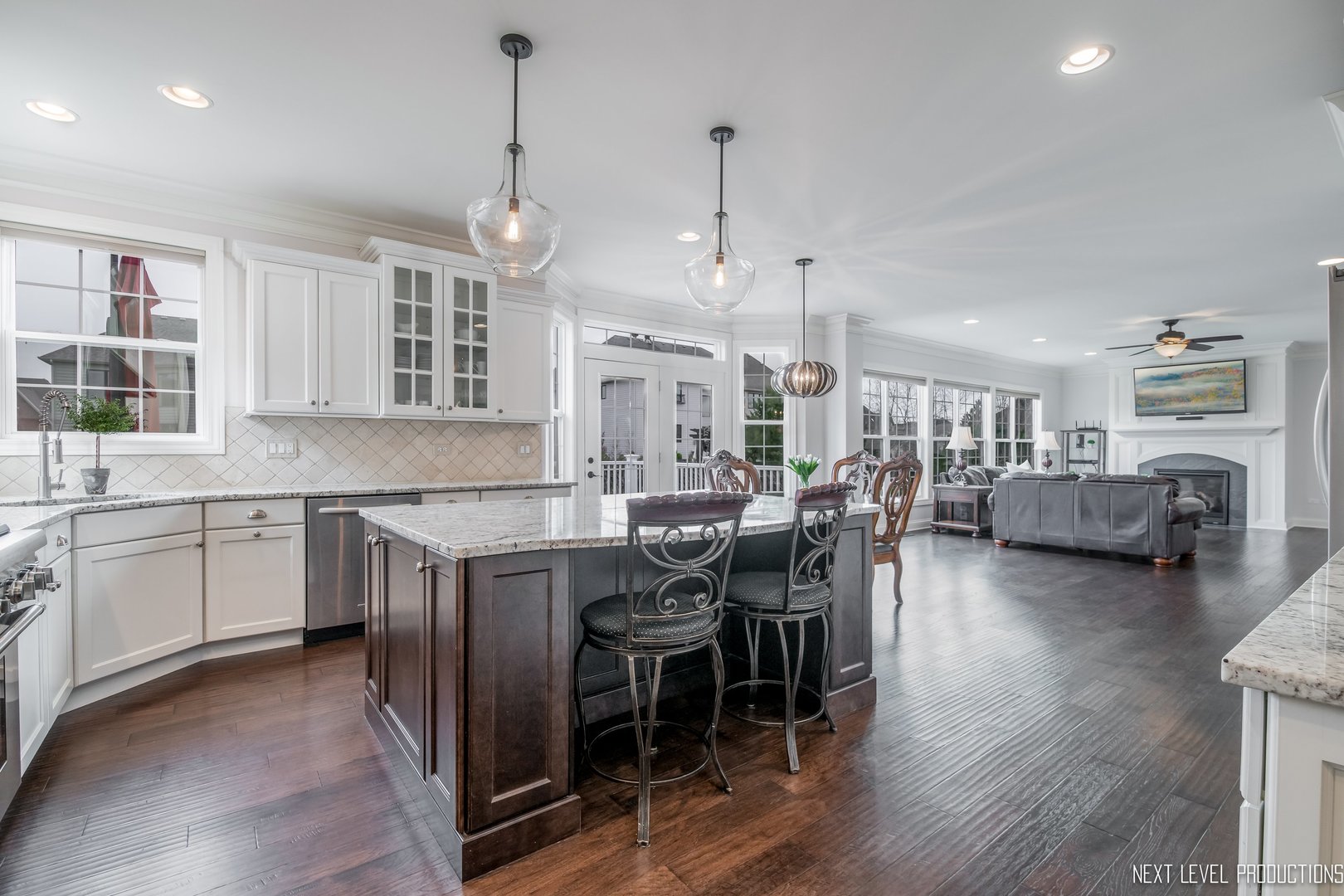 4619 Corktree Road Naperville, IL 60564 - Photo 7 of 39