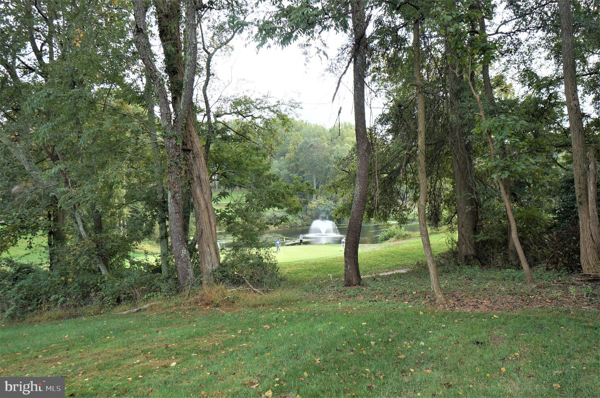 5096 Jericho Road Columbia, MD 21044 - Photo 2 of 37 View of the Par 3 11 Green, Pond & Fountain