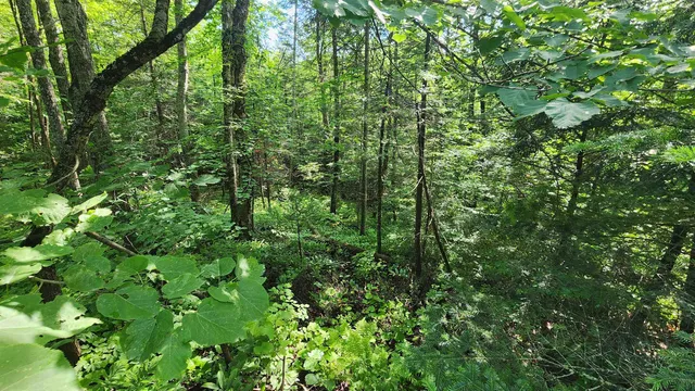 $36,000 | 0 Brook Road, Chelsea, VT 05038