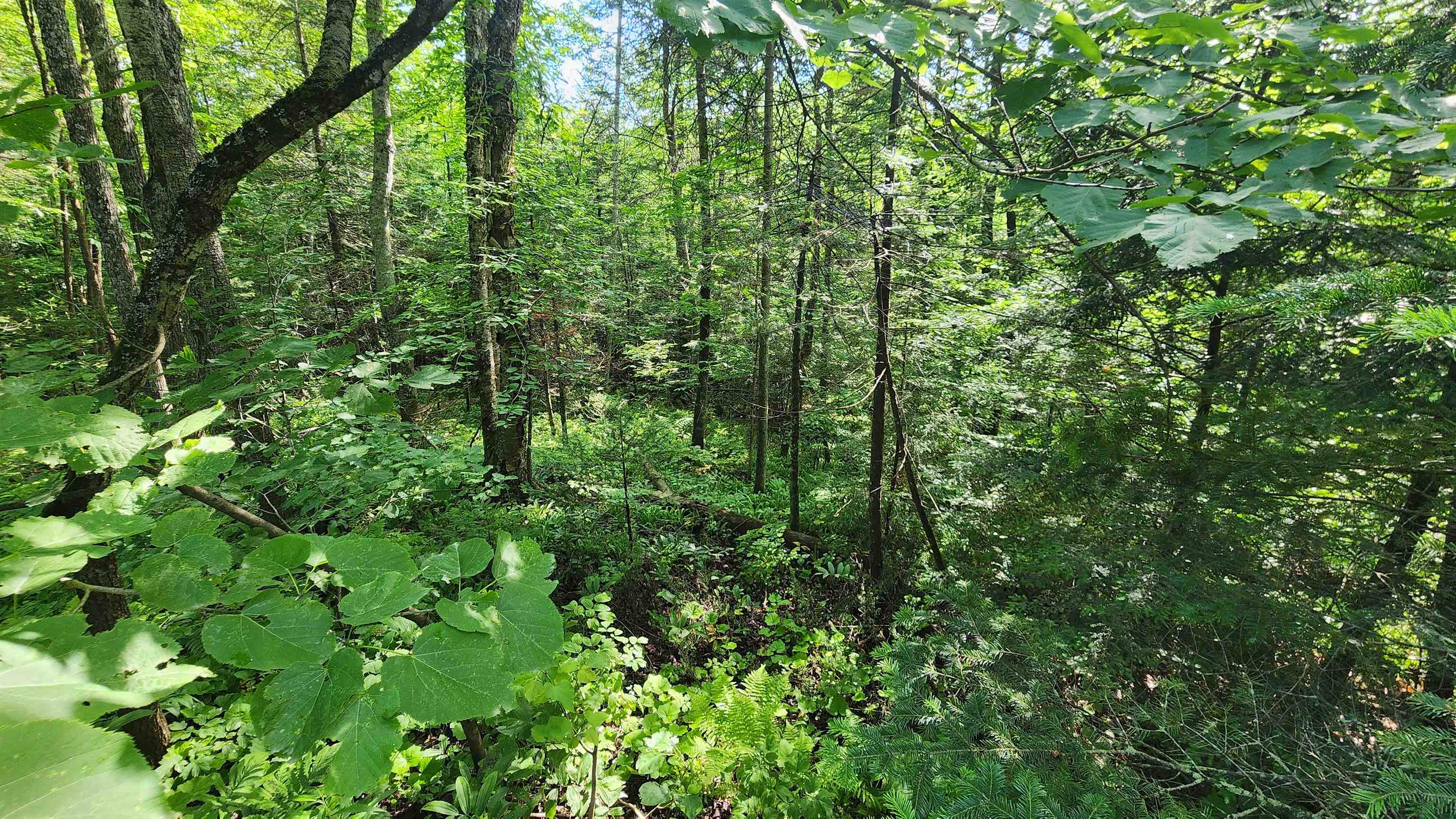 0 Brook Road Chelsea, VT 05038 - Photo 12 of 17