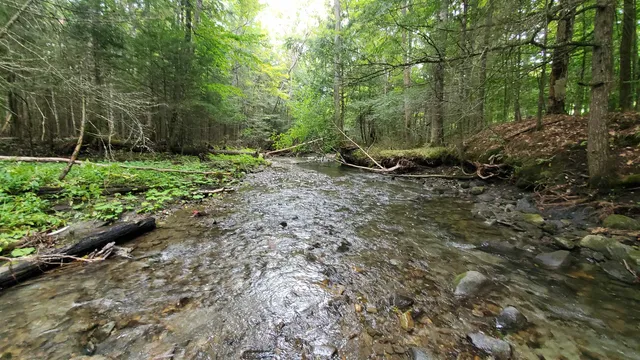 $36,000 | 0 Brook Road, Chelsea, VT 05038