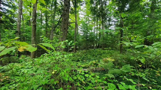 $36,000 | 0 Brook Road, Chelsea, VT 05038