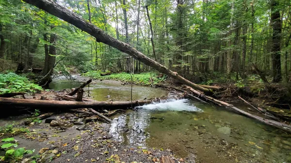 $36,000 | 0 Brook Road, Chelsea, VT 05038