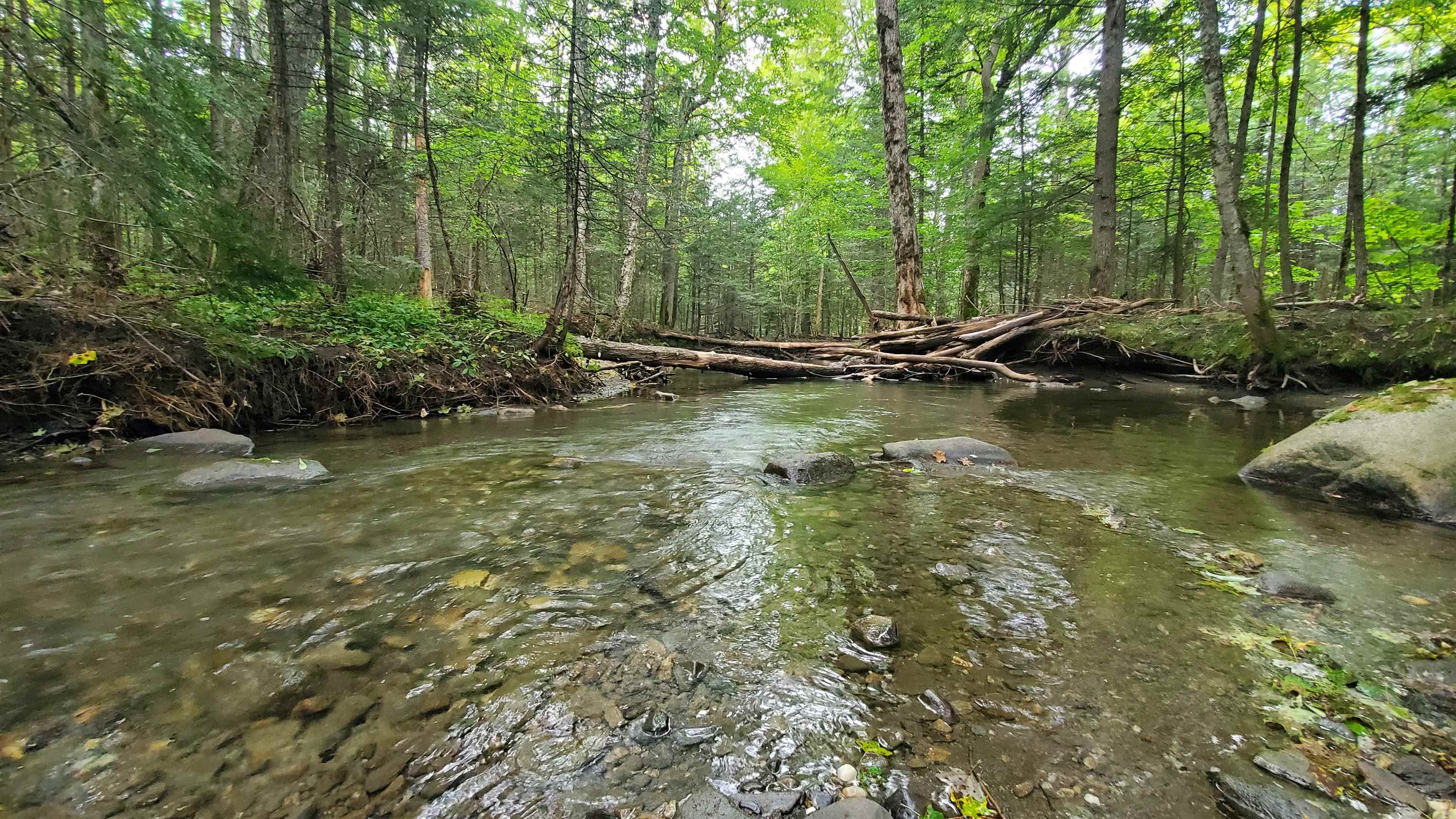 0 Brook Road Chelsea, VT 05038 - Photo 4 of 17