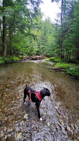 $36,000 | 0 Brook Road, Chelsea, VT 05038