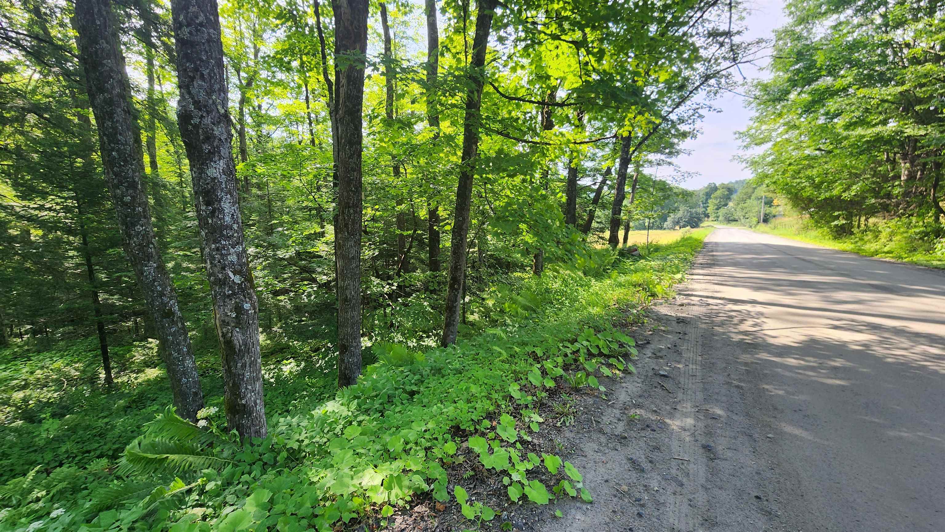 0 Brook Road Chelsea, VT 05038 - Photo 6 of 17