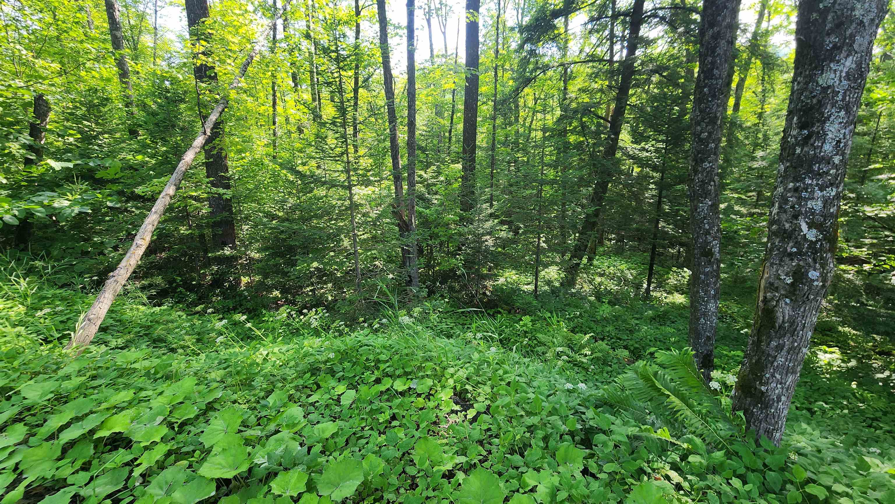 0 Brook Road Chelsea, VT 05038 - Photo 7 of 17