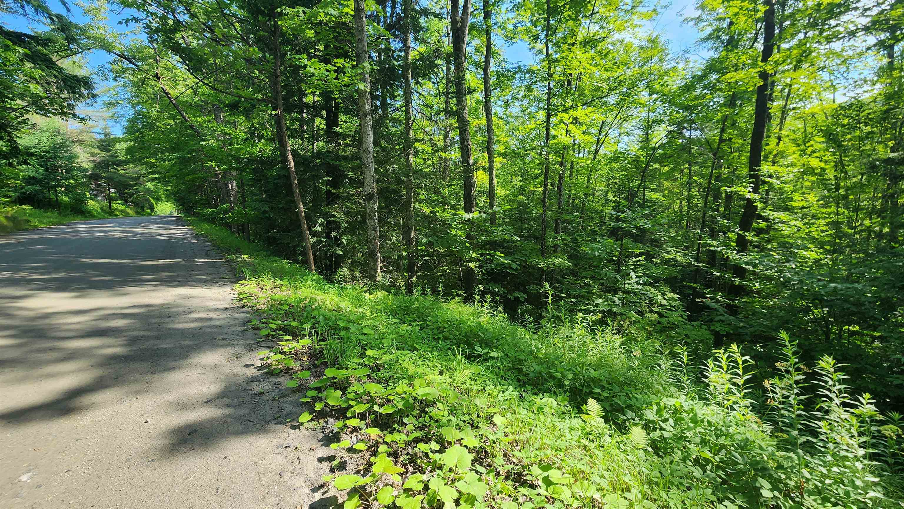 0 Brook Road Chelsea, VT 05038 - Photo 10 of 17