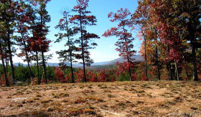 0 Mountain Spring Ln Mill Spring, Unit 31 Mill Spring, NC 28756 - Photo 3 of 8