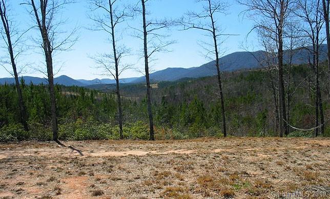 0 Mountain Spring Ln Mill Spring, Unit 31 Mill Spring, NC 28756 - Photo 4 of 8
