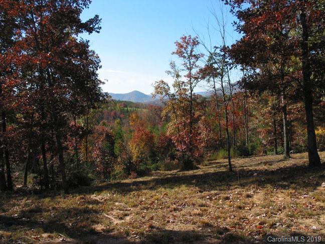 0 Mountain Spring Ln Mill Spring, Unit 31 Mill Spring, NC 28756 - Photo 8 of 8