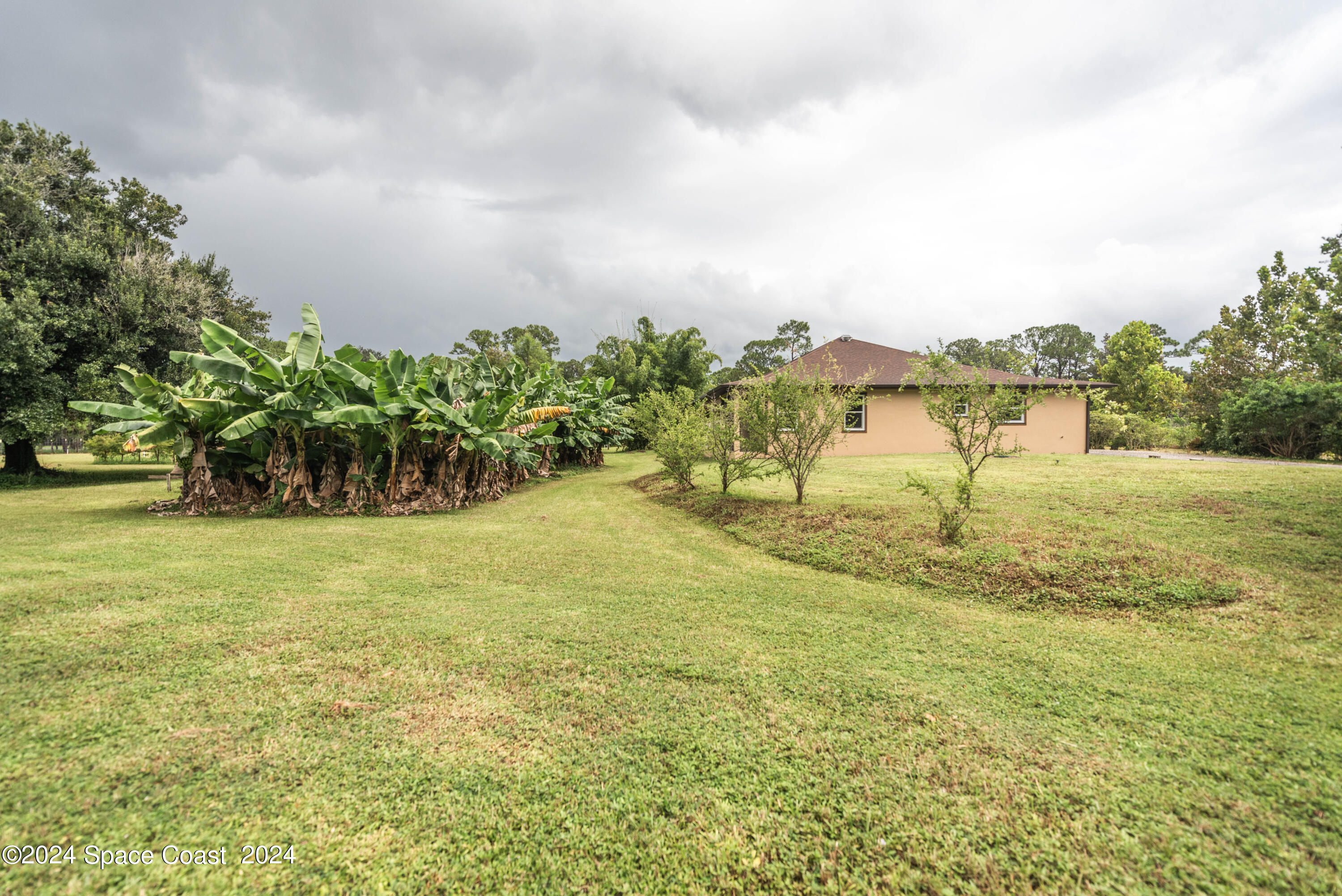 3750 Hield Road Melbourne, FL 32904 - Photo 59 of 63 a view of a yard with an trees