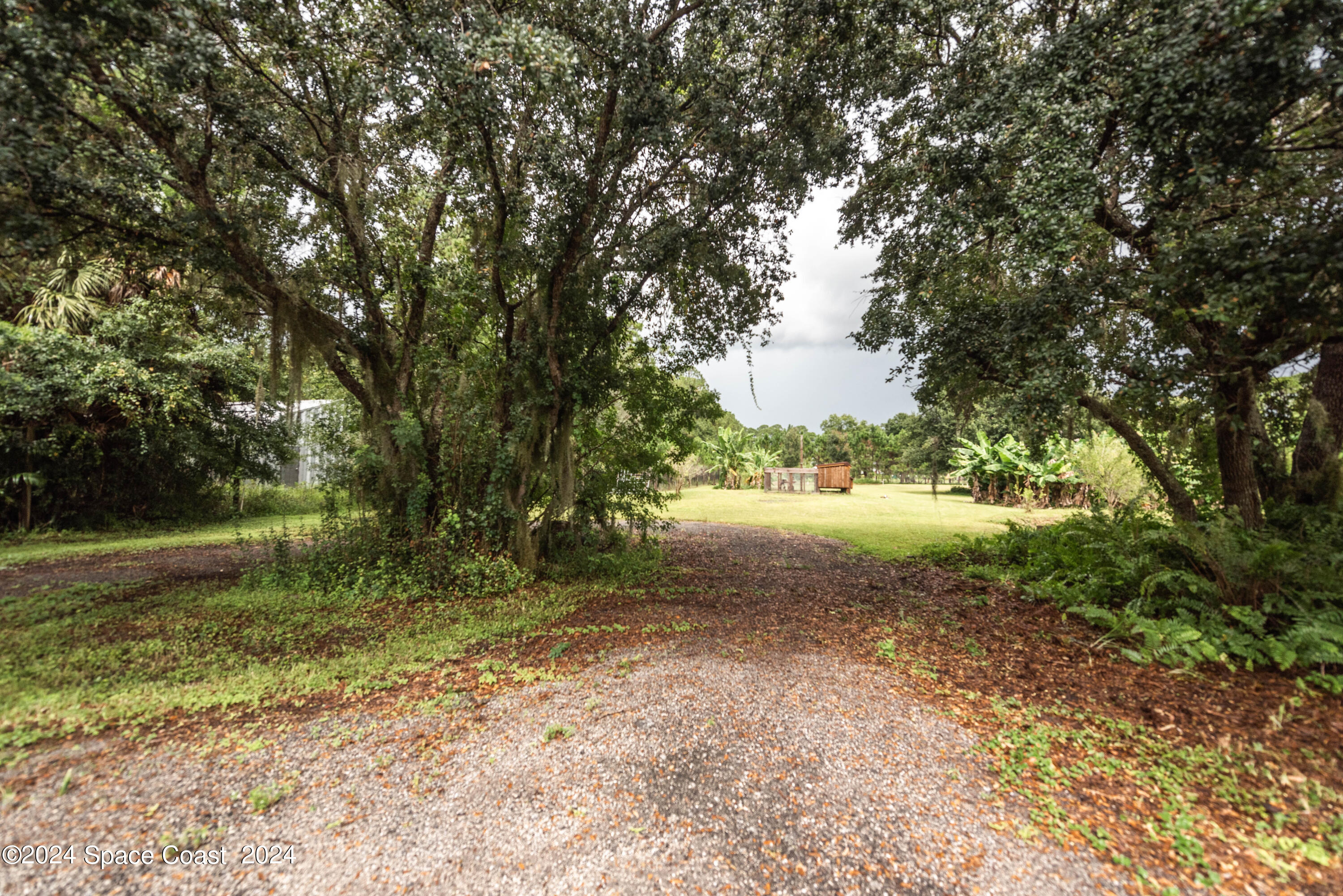 3750 Hield Road Melbourne, FL 32904 - Photo 60 of 63 a view of a yard with a tree