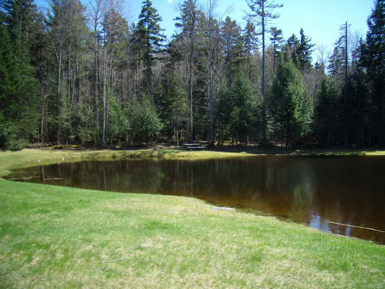 338 Longfellow Drive, Unit 38 Bethlehem, NH 03574 - Photo 32 of 40