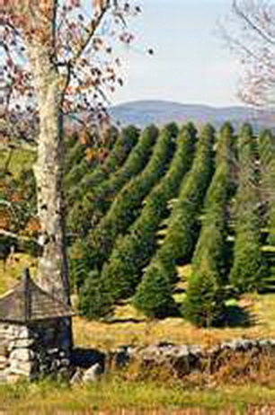 338 Longfellow Drive, Unit 38 Bethlehem, NH 03574 - Photo 39 of 40