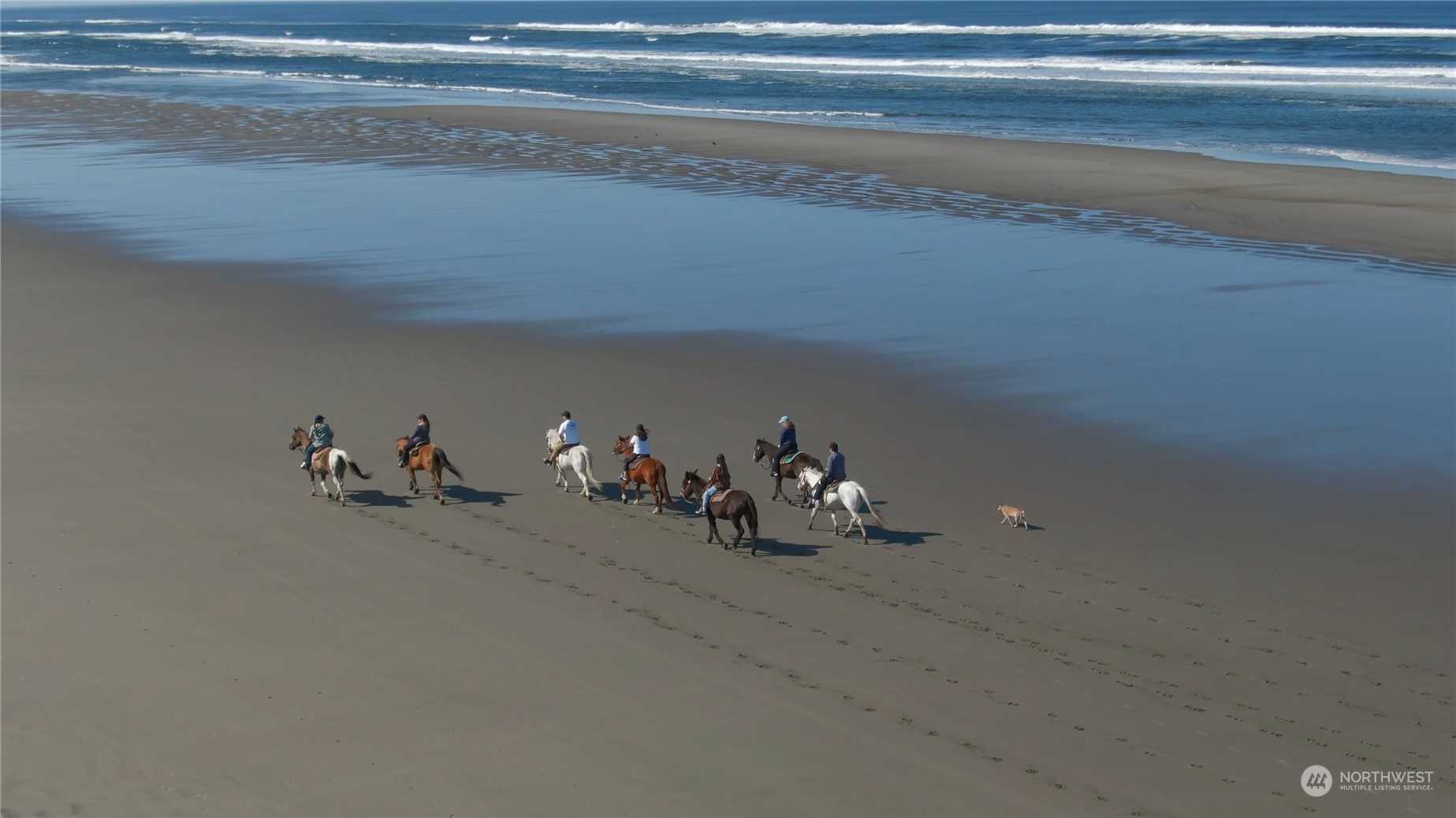 3010 Lighthouse Keepers Road Ilwaco, WA 98624 - Photo 37 of 38 a view of a room with rack and bicycle