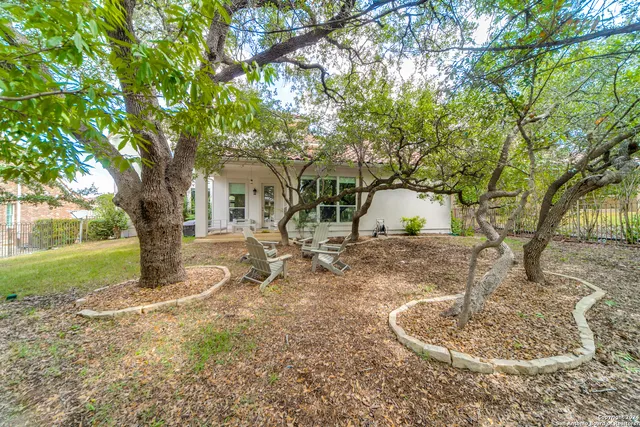 a view of a yard with a tree