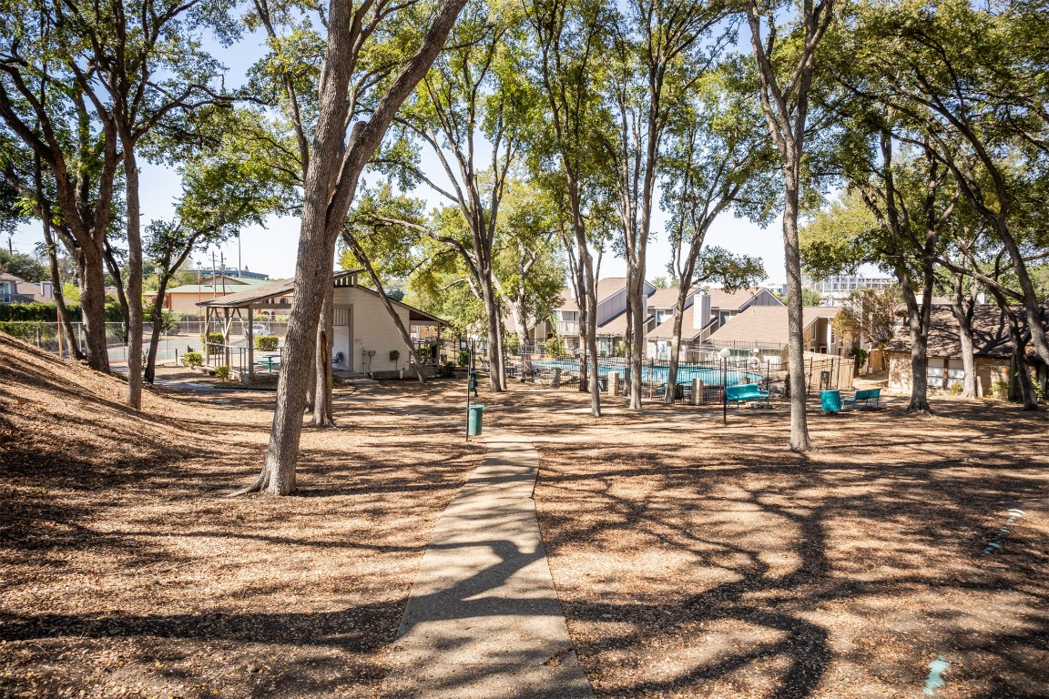 1720 Timber Ridge Drive Austin, TX 78741 - Photo 25 of 30 Amenities of the complex with lots of trees