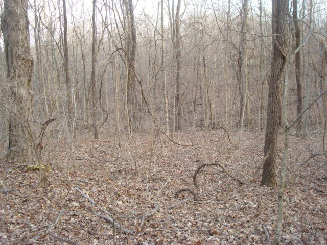 1195 Verona Mt Zion Road Dry Ridge, KY 41035 - Photo 20 of 24