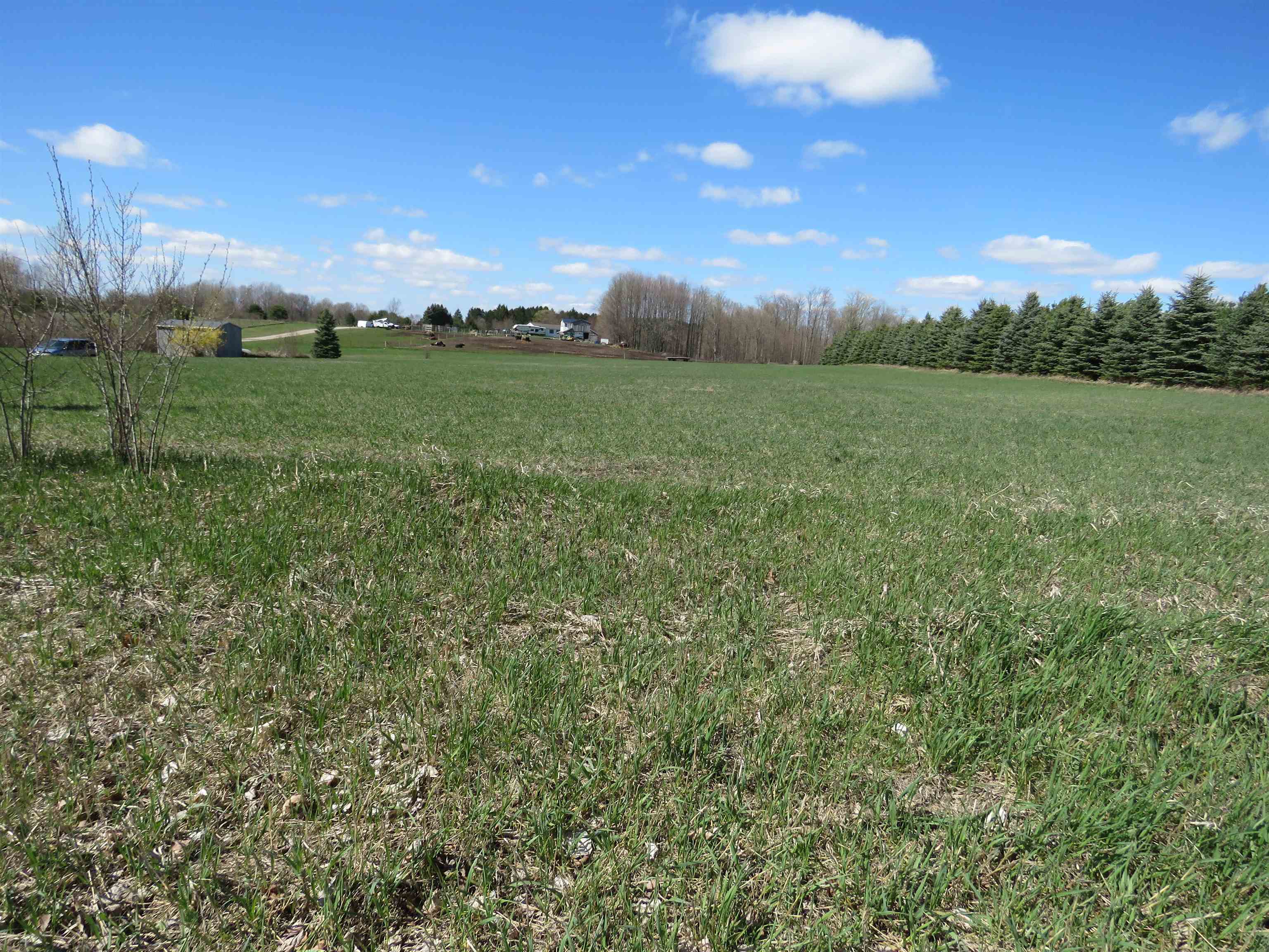 0 22 22 Mile Road Tustin, MI 49688 - Photo 9 of 12 Gallery Image 9