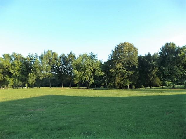 254 Fairfield Road Bethpage, TN 37022 - Photo 16 of 24 Gallery Image 16
