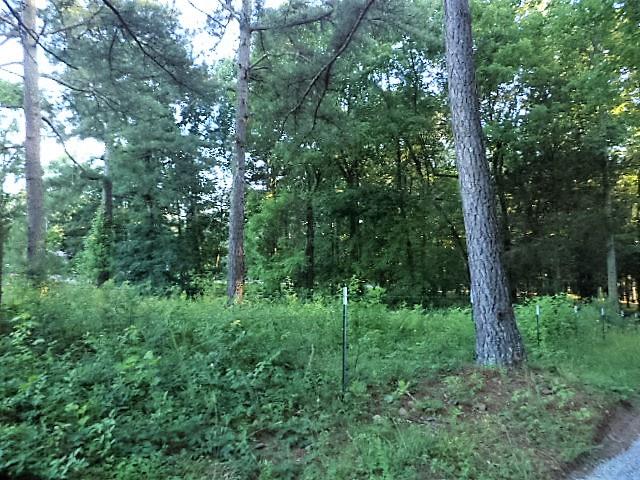254 Fairfield Road Bethpage, TN 37022 - Photo 23 of 24 Gallery Image 23