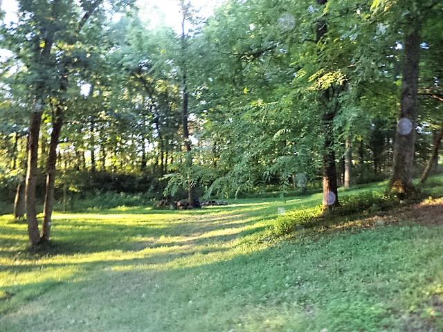 254 Fairfield Road Bethpage, TN 37022 - Photo 24 of 24 Gallery Image 24