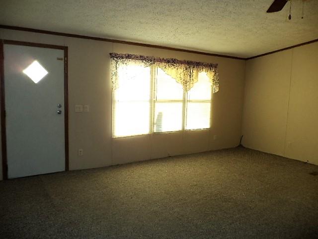 254 Fairfield Road Bethpage, TN 37022 - Photo 5 of 24 Gallery Image 5