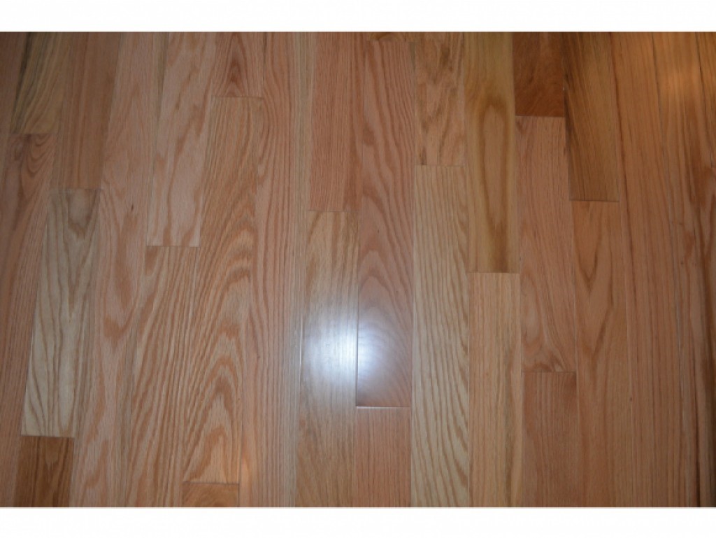 33 Harbor View Road, Unit 1004 South Burlington, VT 05403 - Photo 12 of 27 Gallery Image 12