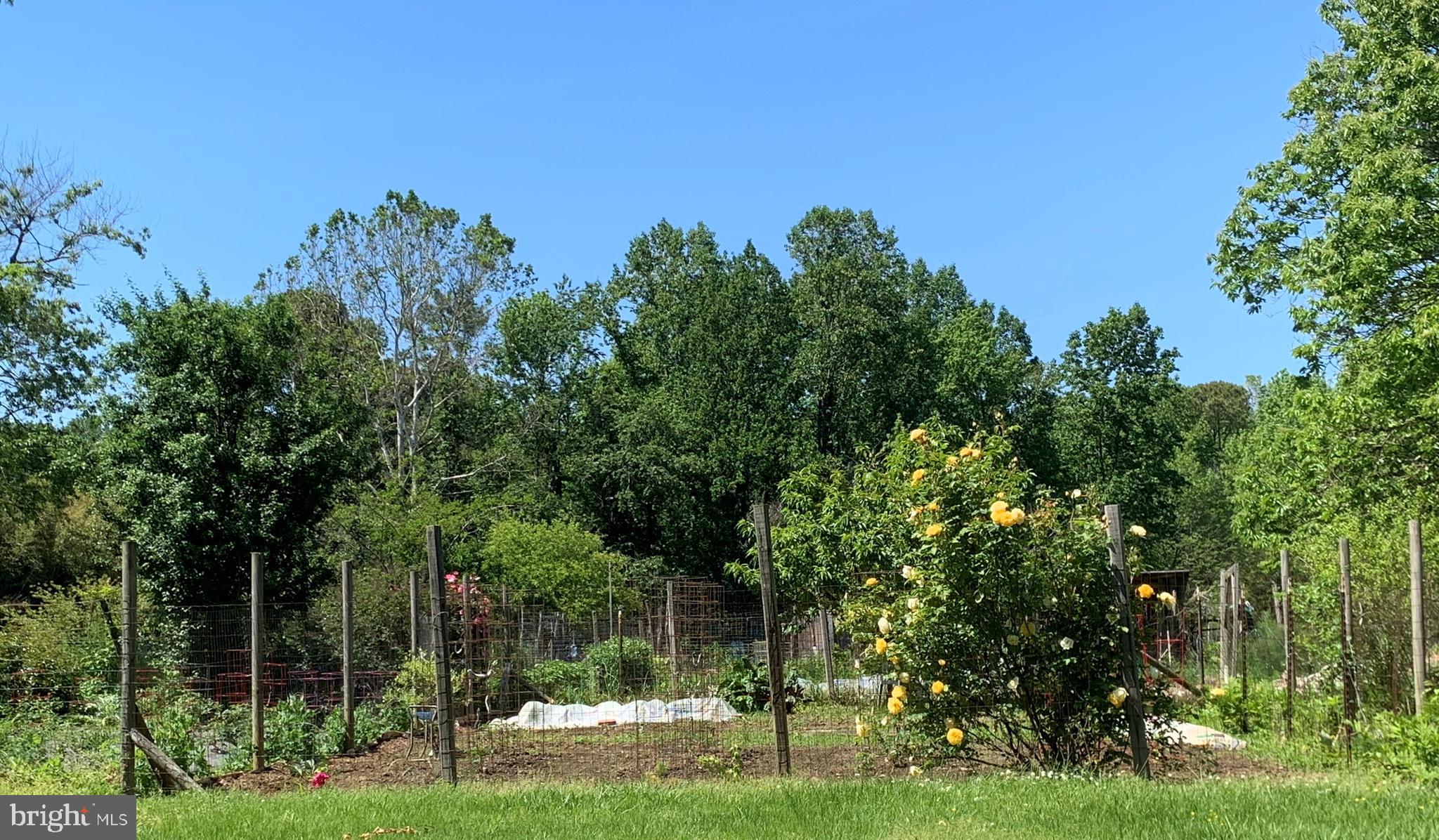 3444 Atropa Road Port Republic, MD 20676 - Photo 67 of 76 Community gardens