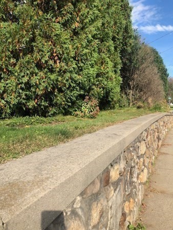 218 Granby Road Chicopee, MA 01013 - Photo 5 of 21 a view of a yard with an outdoor space