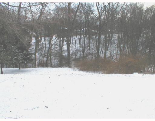 112 Raccoon Way Gibsonia, PA 15044 - Photo 9 of 9 Exterior Back. More yard plenty of room for roaming