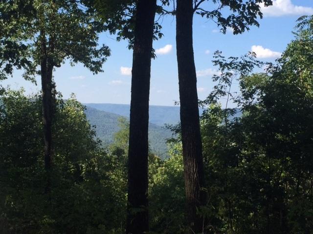 27 Jackson Point Road, Unit 27 Sewanee, TN 37375 - Photo 1 of 12 IMG_2162