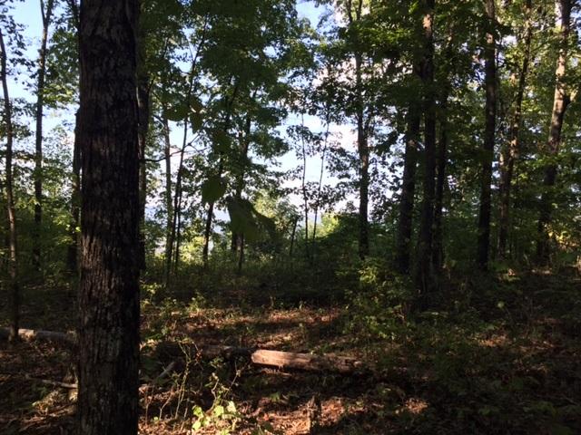 27 Jackson Point Road, Unit 27 Sewanee, TN 37375 - Photo 11 of 12 IMG_2158