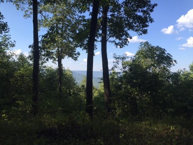 27 Jackson Point Road, Unit 27 Sewanee, TN 37375 - Photo 2 of 12 IMG_2161